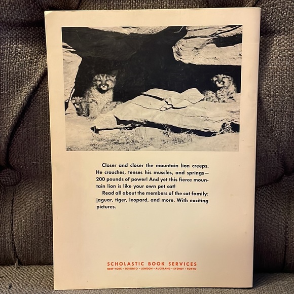 Vintage 1975 The Mountain Lion and Other Cats softcover Scholastic book - Picture 2 of 6